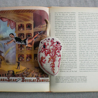 Anatomical Heart - Cotton & Lavender filled Ornament