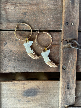 Gilded Jaw Hoop Earring